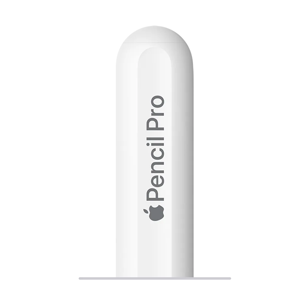 APPLE IPAD PEN